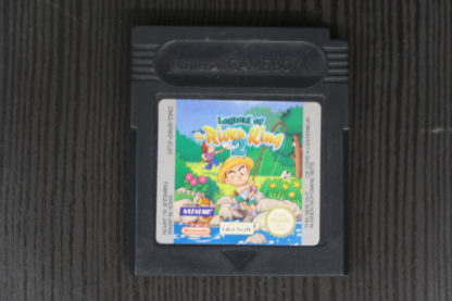 Retro Game Zone – Legend Of The River King 2 1